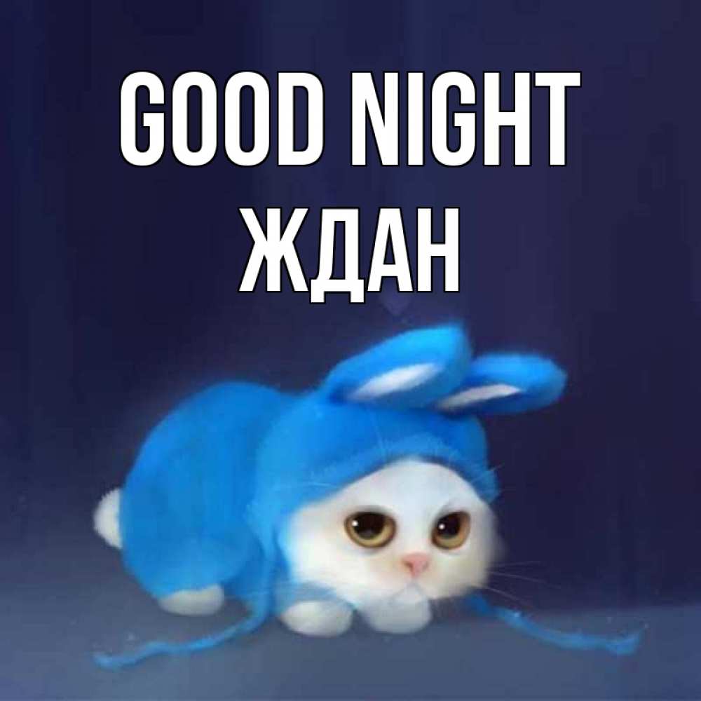 Greetings card с именем, Ждан Good night кот в голубом костюме кролика с ушками Greetings with text for free download 