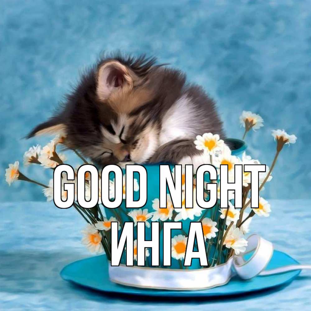 Greetings card с именем, Инга Good night котенок спит в кружке с блюдцем Greetings with text for free download 