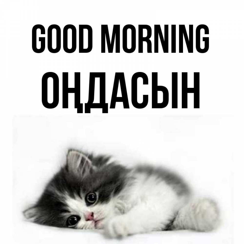Greetings card с именем, ОҢДАСЫН Good morning кот лапки Greetings with text for free download 