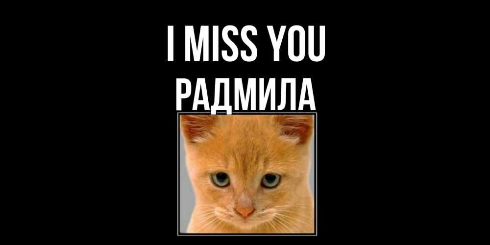 Greetings card с именем, Радмила I miss you открытки рыжий котенок скучает по тебе Greetings with text for free download 