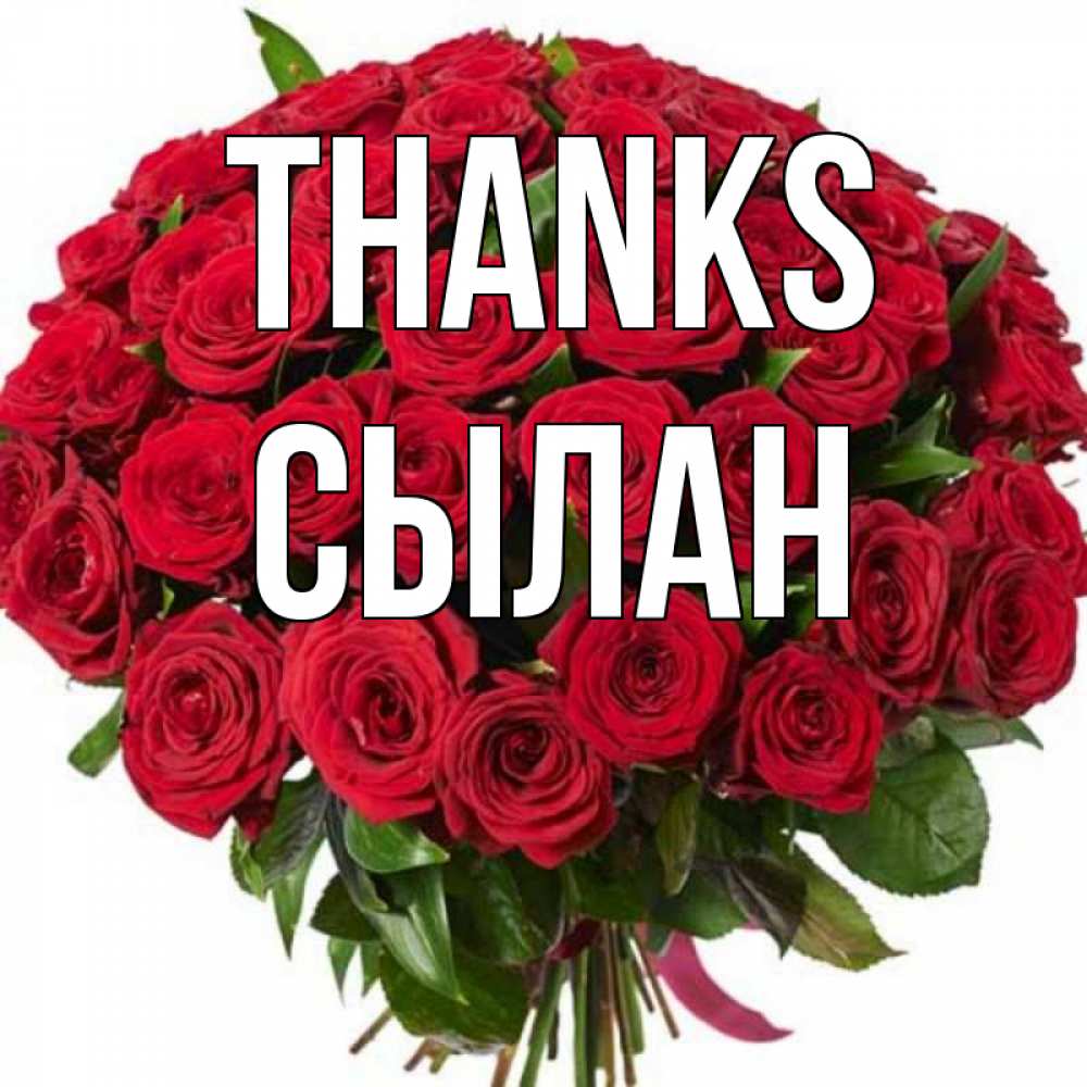 Greetings card с именем, СЫЛАН Thanks букет красных роз Greetings with text for free download 