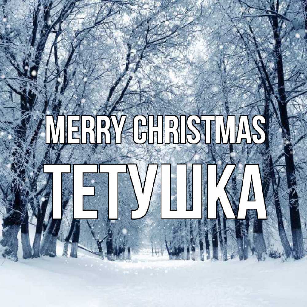 Greetings card с именем, Тетушка Merry Christmas снег, лес, парк Greetings with text for free download 