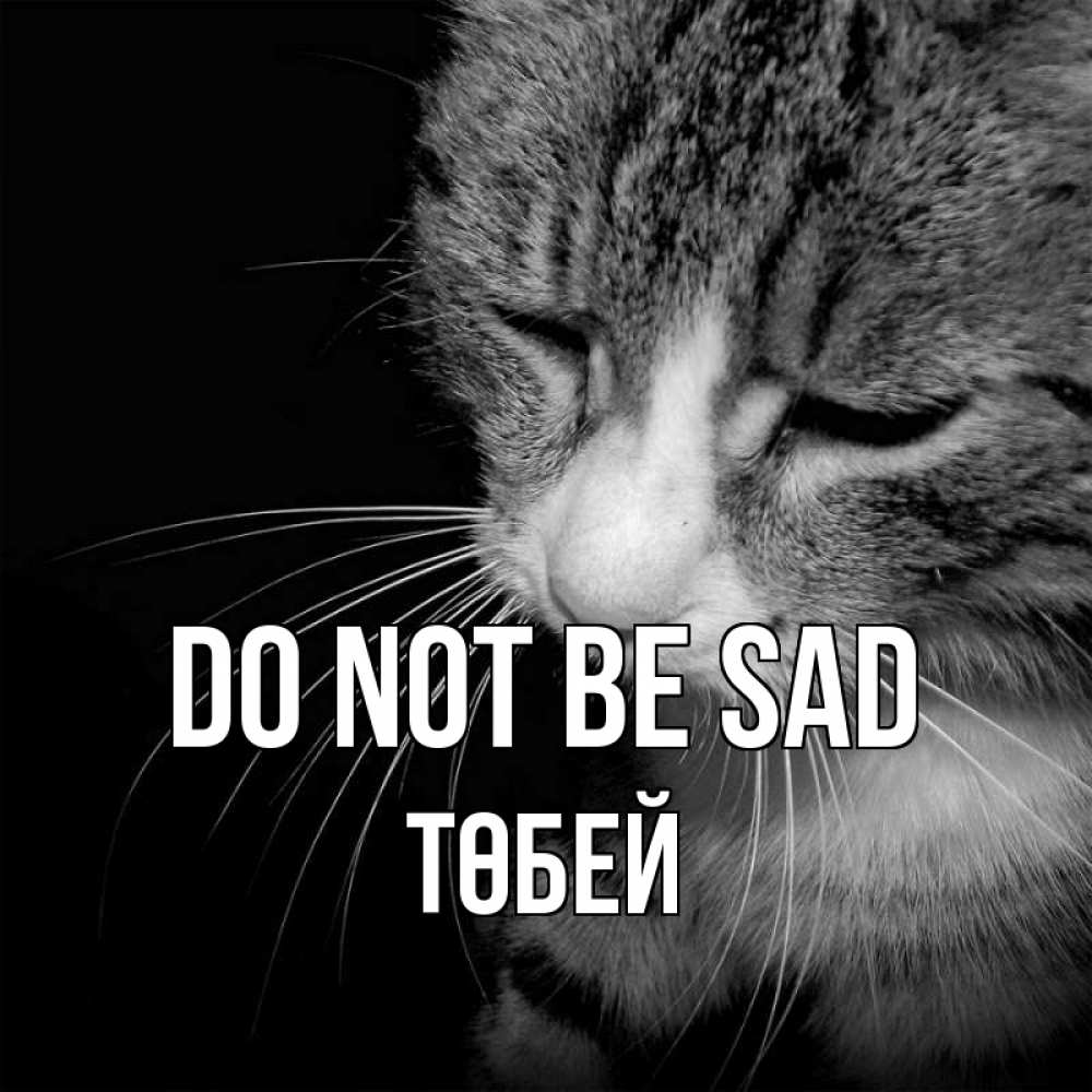 Greetings card с именем, ТӨБЕЙ Do not be sad грустный котик Greetings with text for free download 