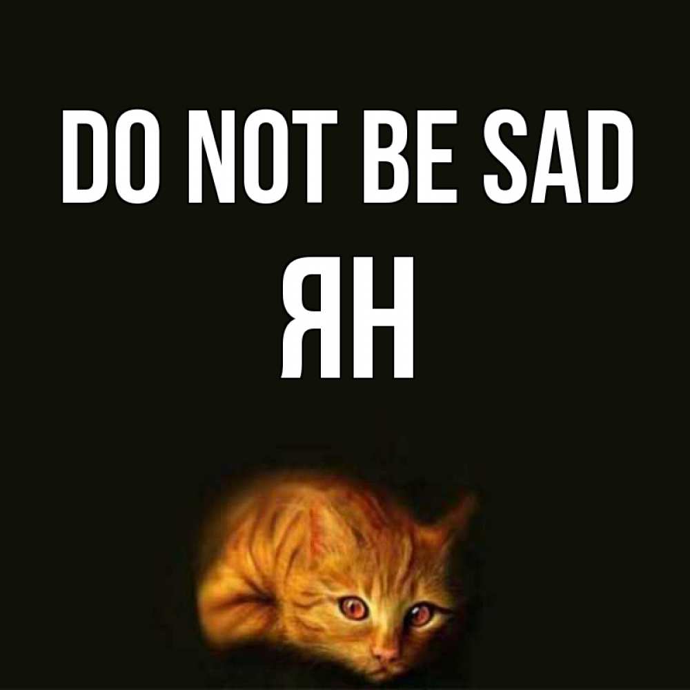Greetings card с именем, Ян Do not be sad лежащий кот в темноте Greetings with text for free download 