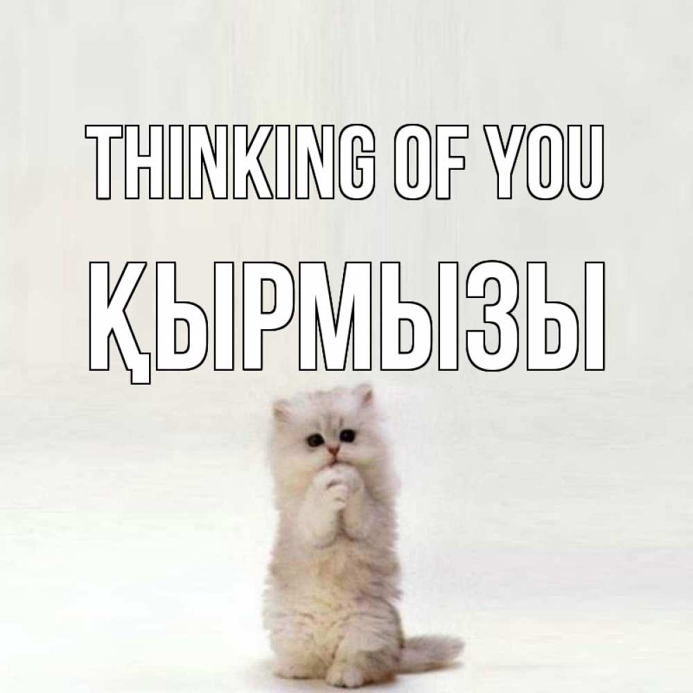 Greetings card с именем, ҚЫРМЫЗЫ Thinking of you кот стоит на задних лапах Greetings with text for free download 