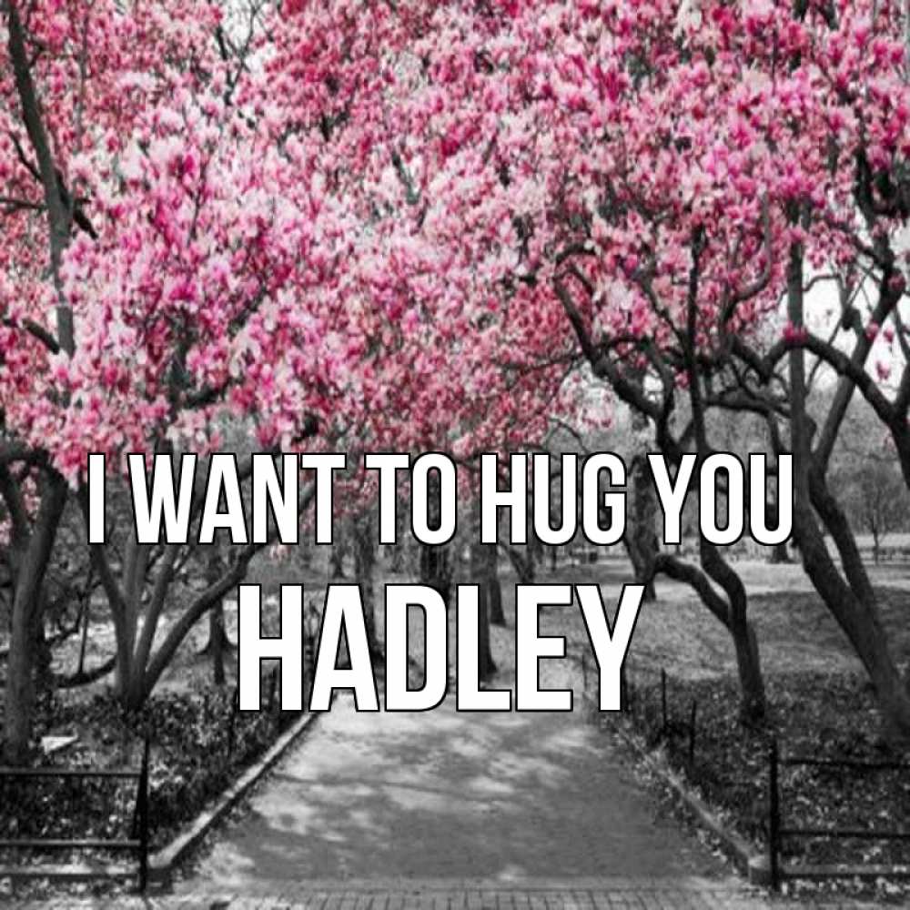 Greetings card с именем, Hadley I want to hug you обработанное фото Greetings with text for free download 