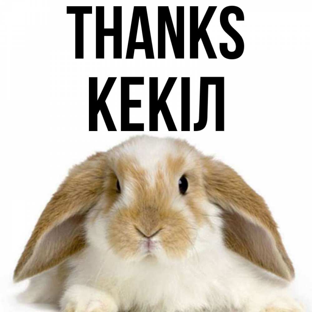 Greetings card с именем, Кекіл Thanks коричнево белый заяц Greetings with text for free download 
