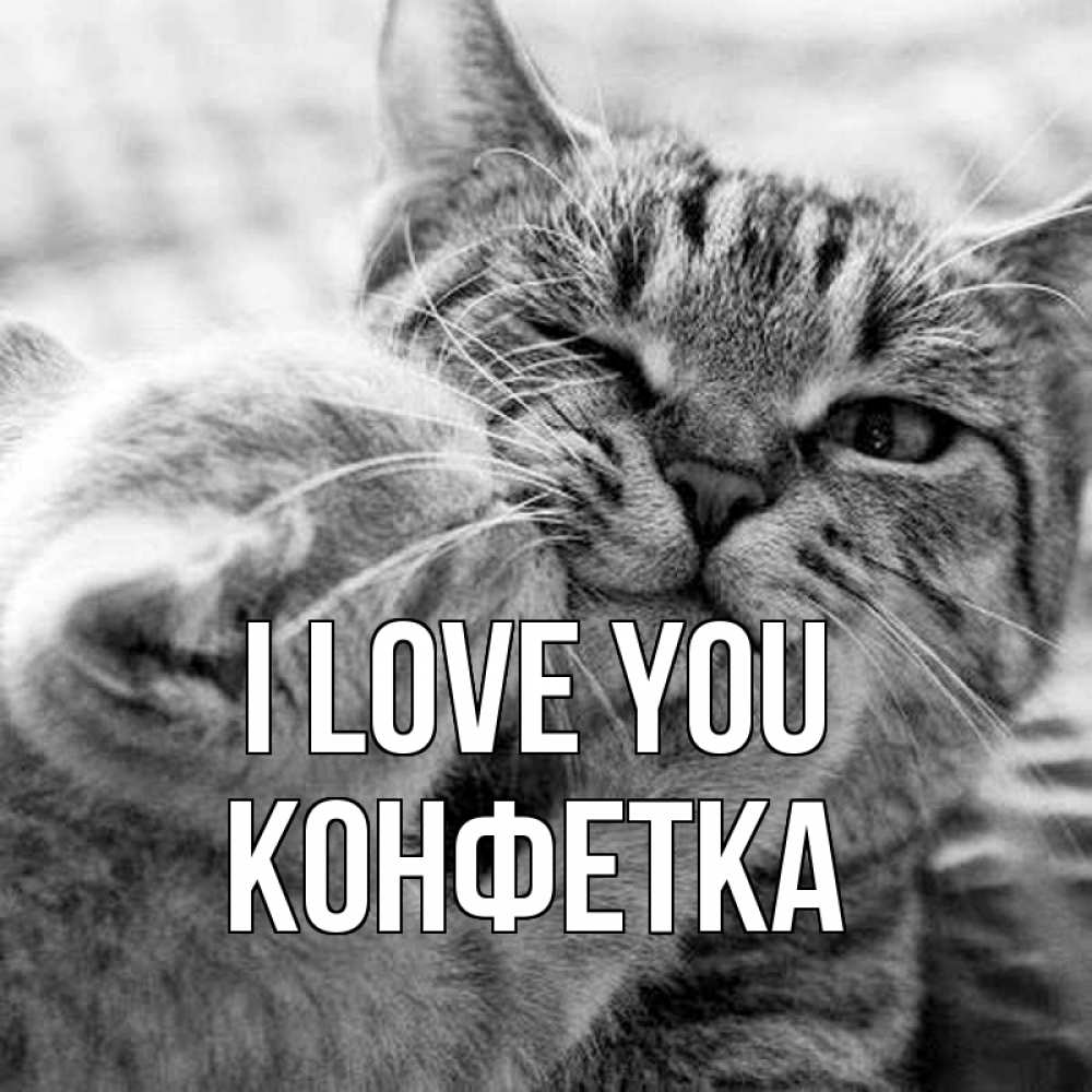 Greetings card с именем, Конфетка I love you коты Greetings with text for free download 