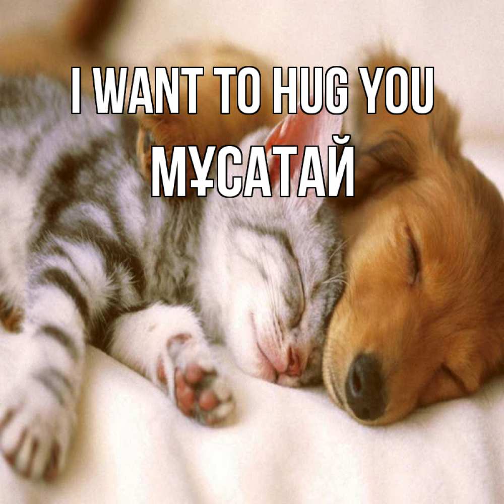 Greetings card с именем, Мұсатай I want to hug you пес и котенок Greetings with text for free download 