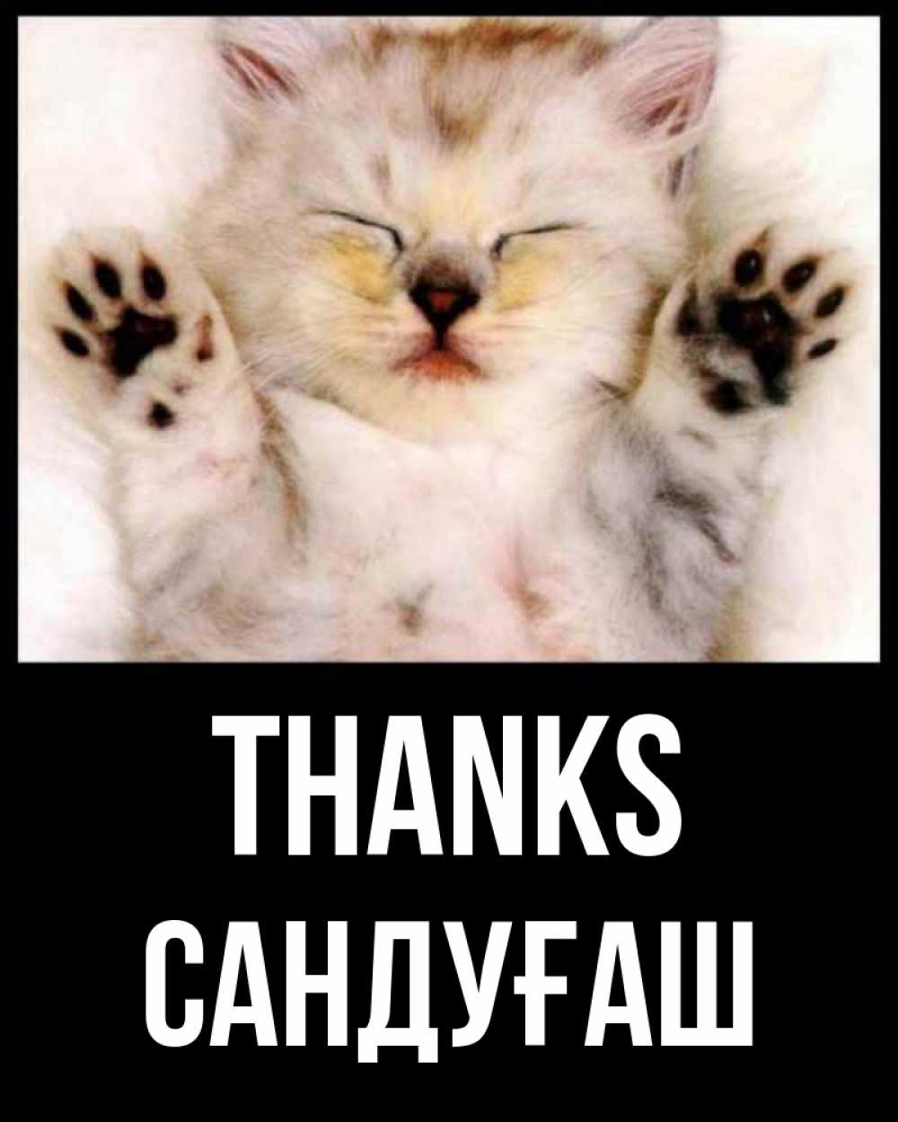 Greetings card с именем, САНДУҒАШ Thanks маленький котенок Greetings with text for free download 