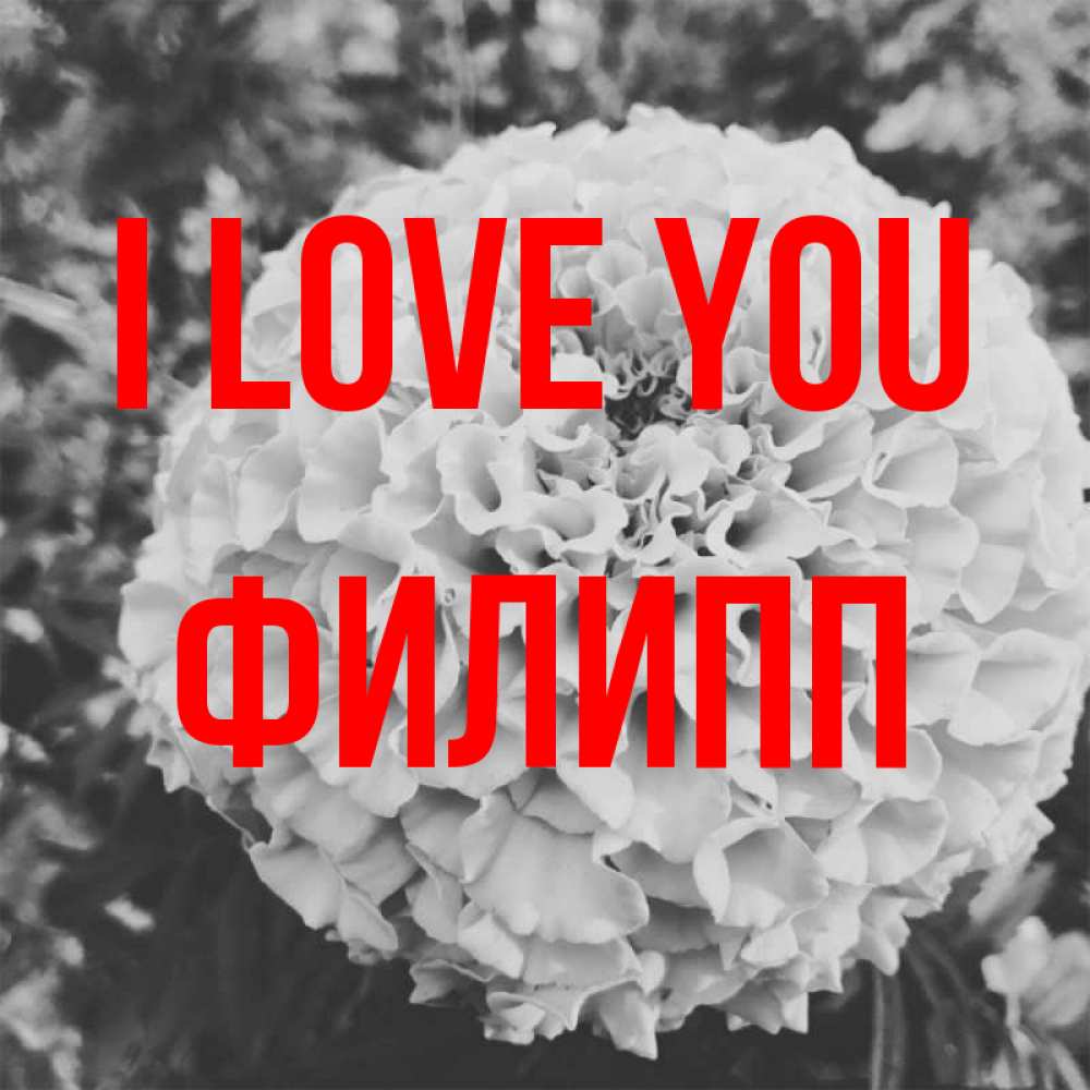 Greetings card с именем, Филипп I love you подпись Greetings with text for free download 