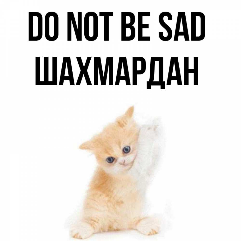 Greetings card с именем, ШАХМАРДАН Do not be sad просящий кот Greetings with text for free download 