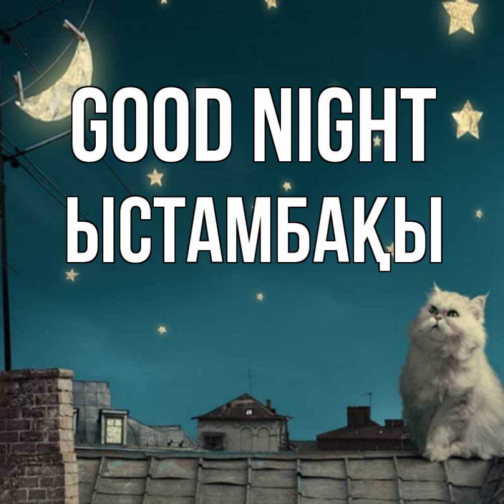 Greetings card с именем, ЫСТАМБАҚЫ Good night белый кот сидит на крыше Greetings with text for free download 