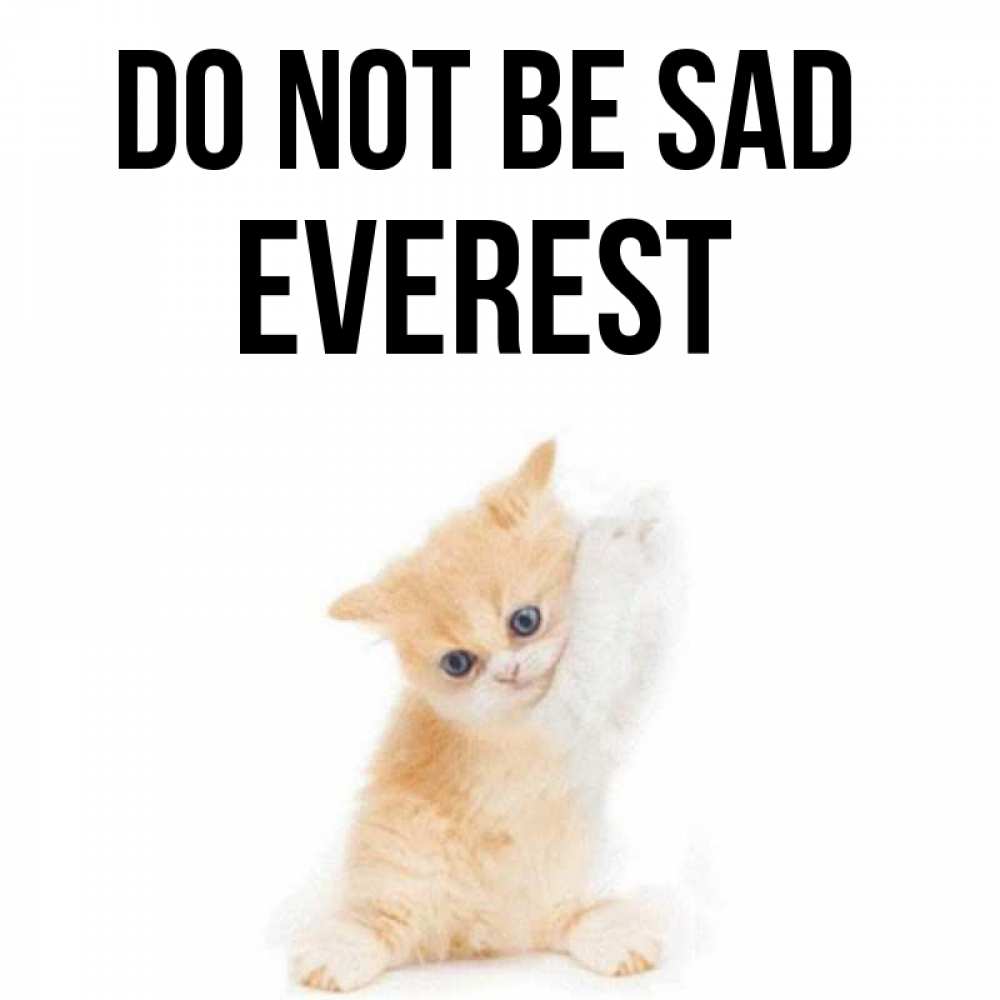 Greetings card с именем, Everest Do not be sad просящий кот Greetings with text for free download 