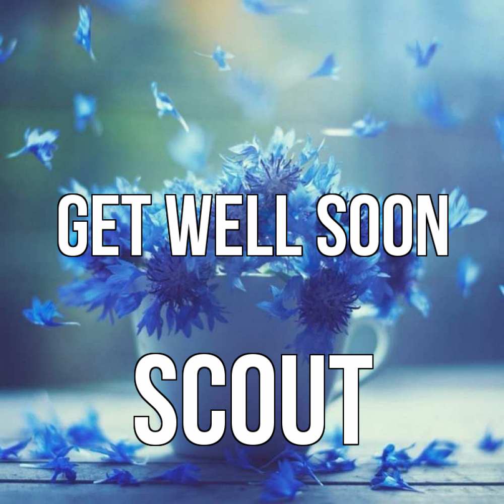 Greetings card с именем, Scout Get well soon кружка с зельем и цветами Greetings with text for free download 
