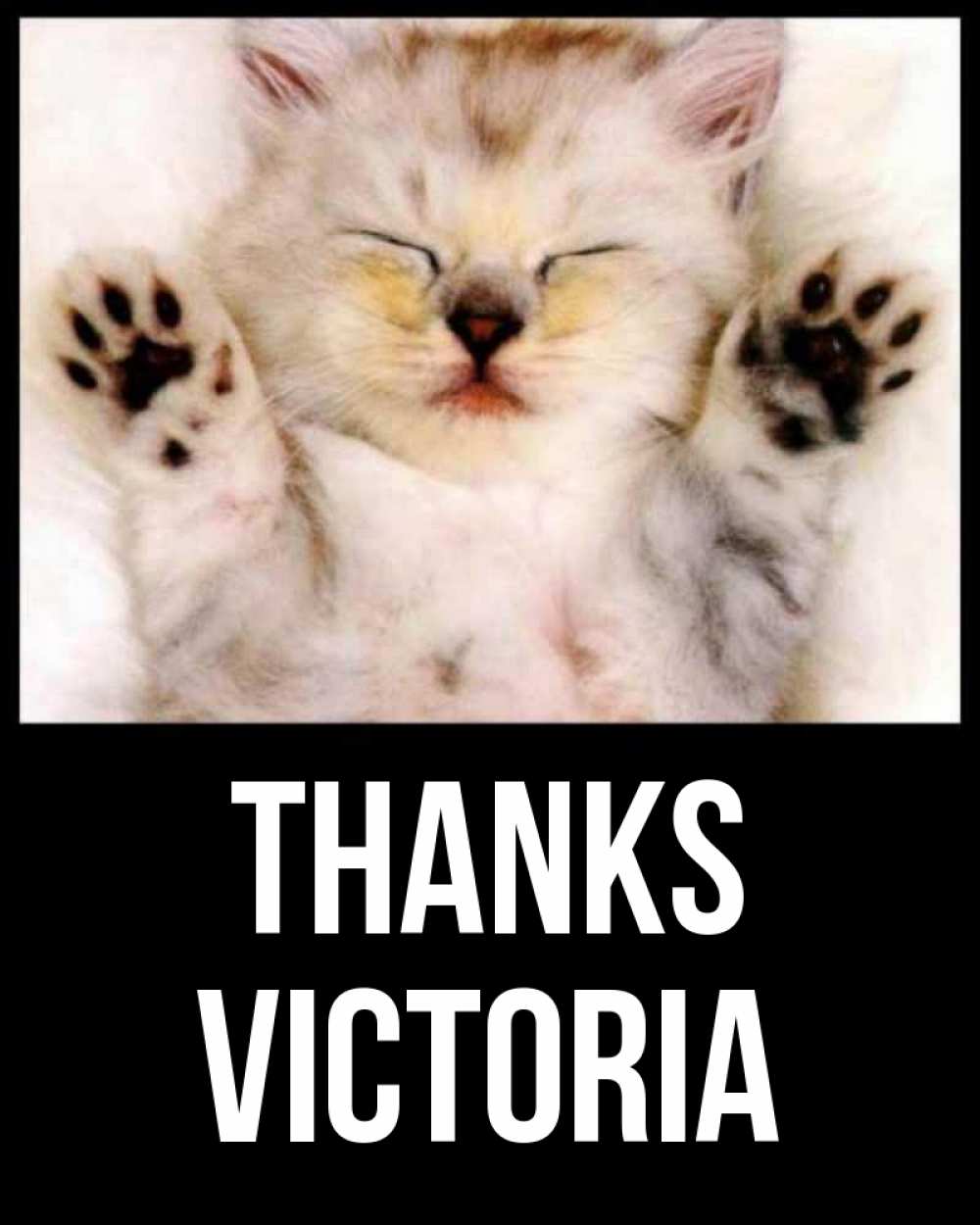 Greetings card с именем, Victoria Thanks маленький котенок Greetings with text for free download 