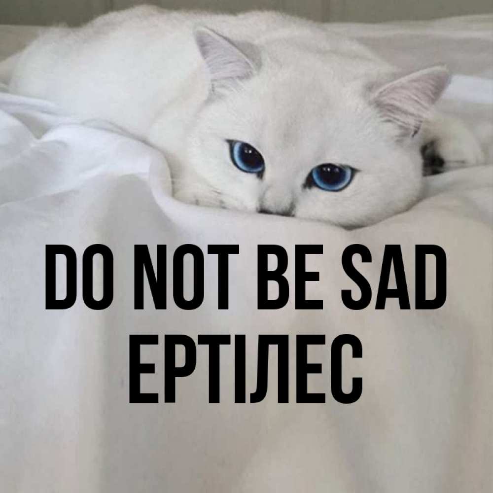 Greetings card с именем, Ертілес Do not be sad Голубоглазая кошка Greetings with text for free download 