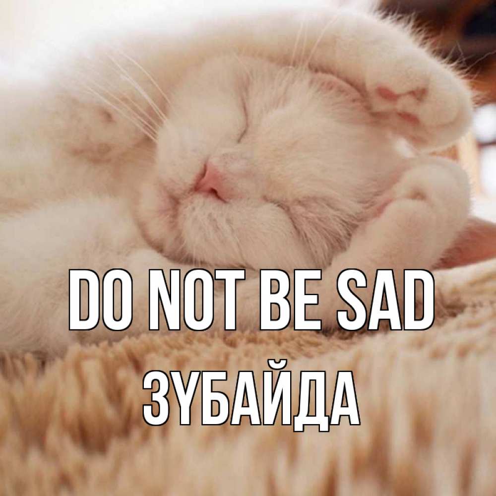 Greetings card с именем, ЗҮБАЙДА Do not be sad белый кот Greetings with text for free download 