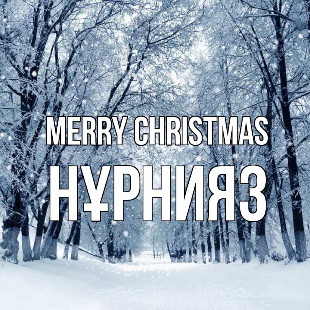 Greetings card с именем, НҰРНИЯЗ Merry Christmas снег, лес, парк Greetings with text for free download 