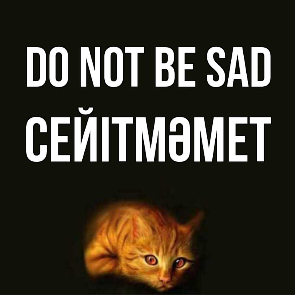 Greetings card с именем, СЕЙІТМӘМЕТ Do not be sad лежащий кот в темноте Greetings with text for free download 