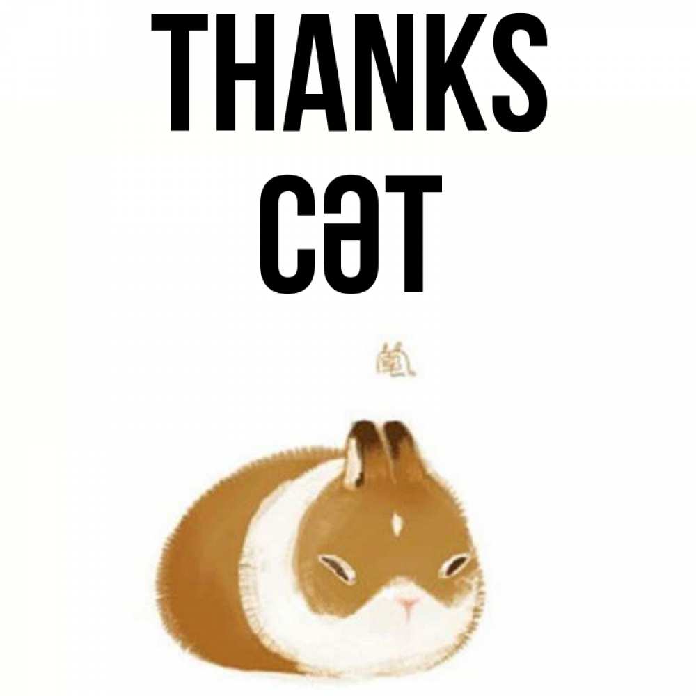 Greetings card с именем, СӘТ Thanks коричнево белый домашний питомец Greetings with text for free download 