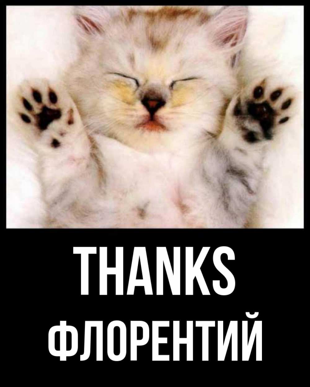 Greetings card с именем, Флорентий Thanks маленький котенок Greetings with text for free download 