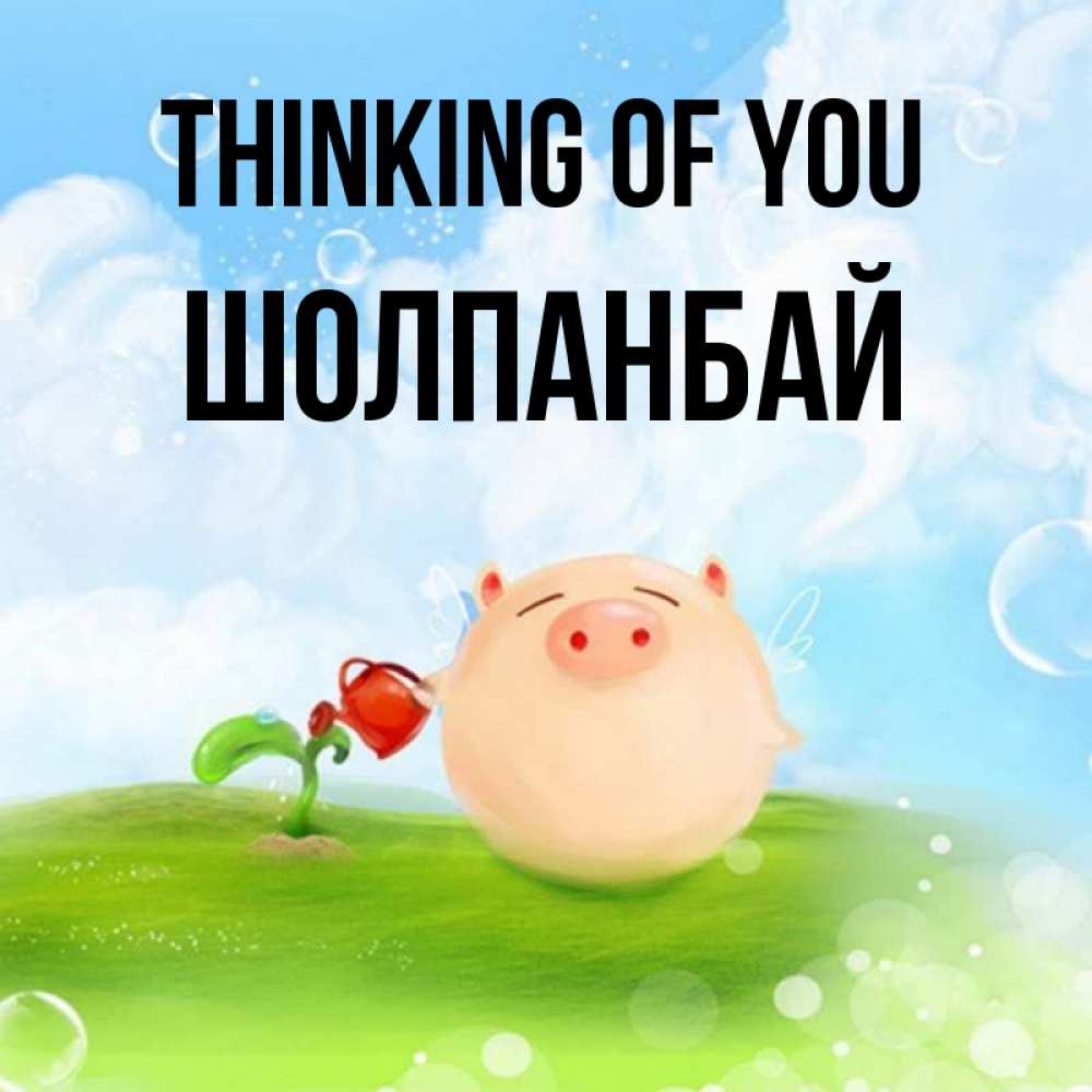 Greetings card с именем, ШОЛПАНБАЙ Thinking of you позитивная свинюшка Greetings with text for free download 