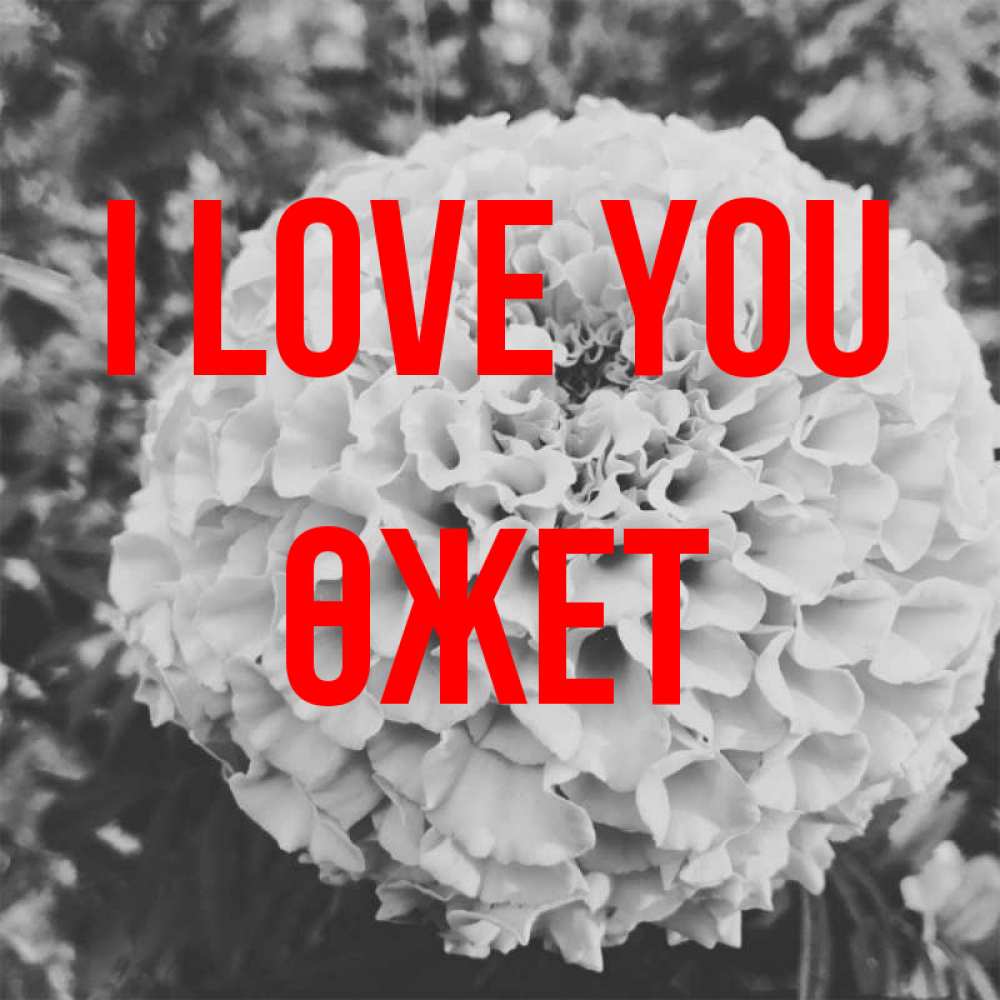 Greetings card с именем, ӨЖЕТ I love you подпись Greetings with text for free download 