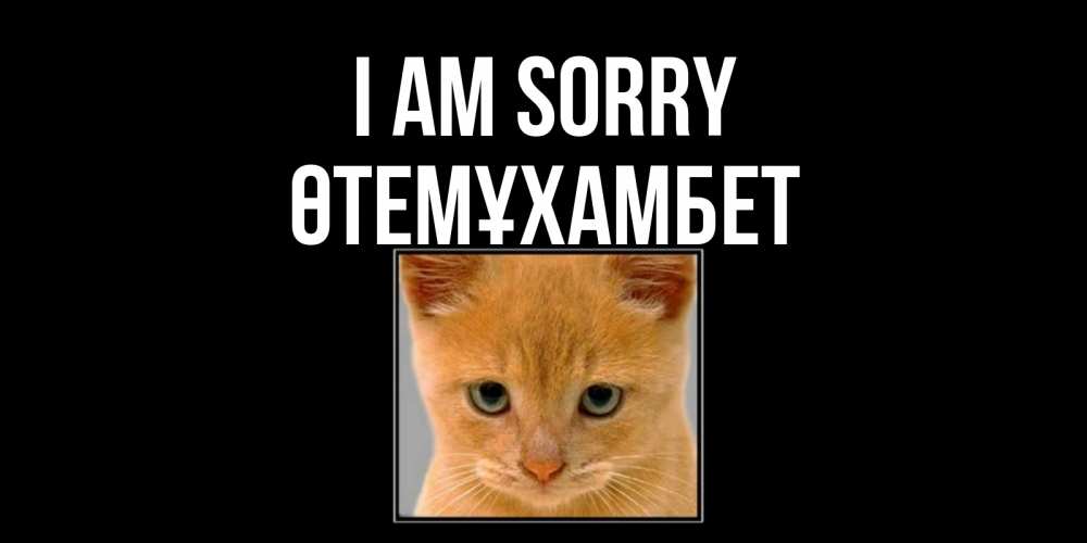 Greetings card с именем, ӨТЕМҰХАМБЕТ I am sorry рыжий грустный кот просит прощения Greetings with text for free download 