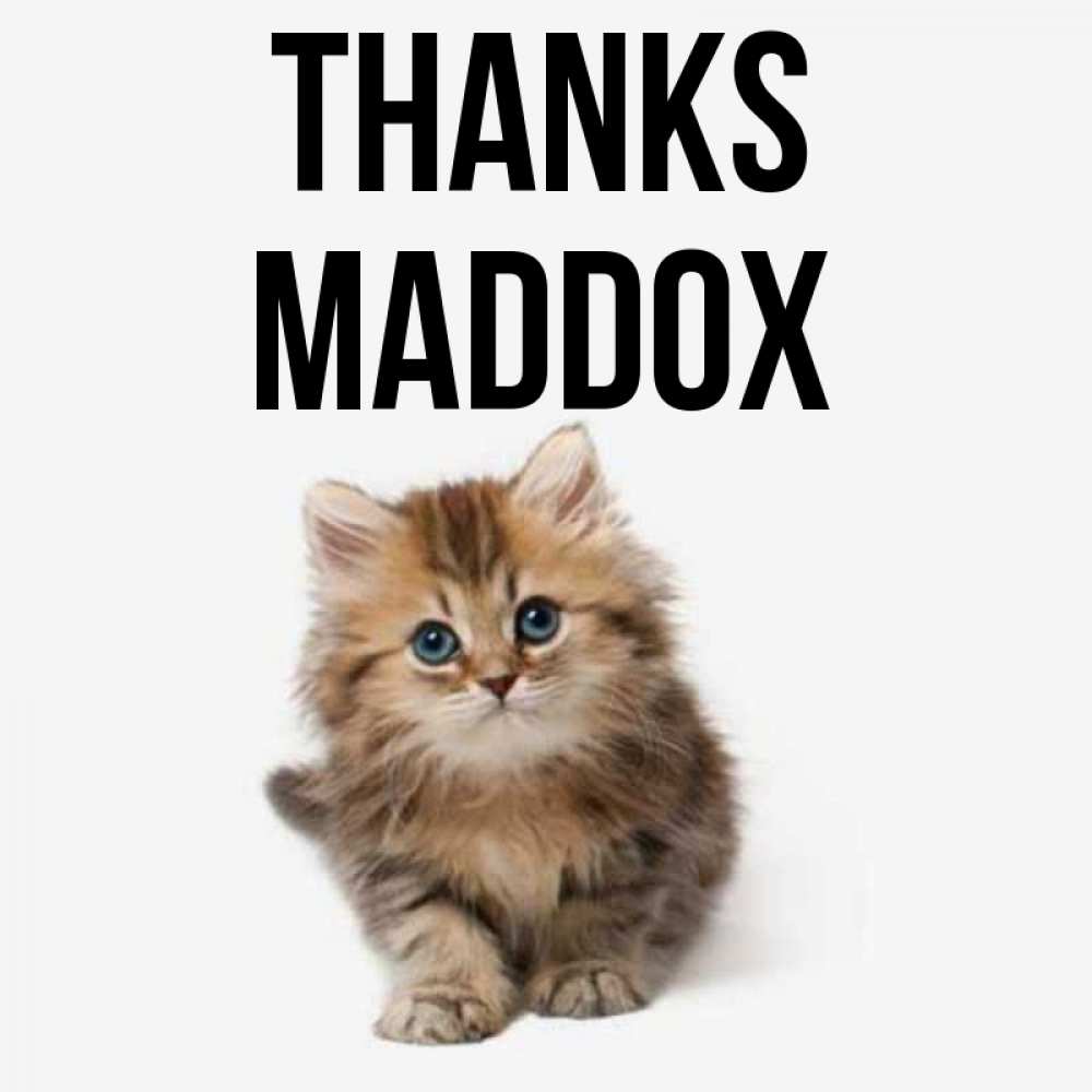 Greetings card с именем, Maddox Thanks пушистый котик Greetings with text for free download 