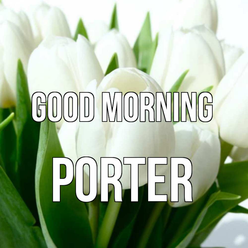 Greetings card с именем, Porter Good morning открытки на каждый день по именам Greetings with text for free download 