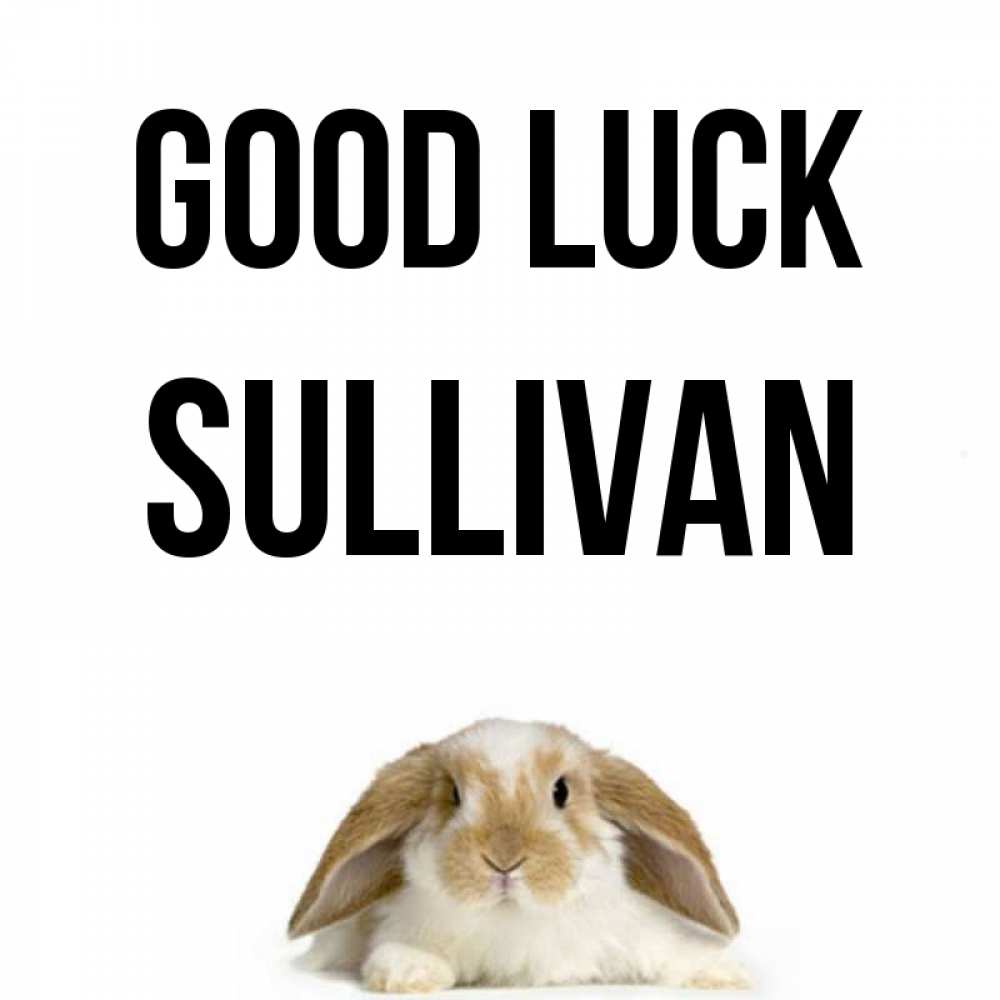 Greetings card с именем, Sullivan Good luck открытки с произвольным текстом который можно вставить в открытку и создать ее самостоятельно бесплатно онлайн Greetings with text for free download 