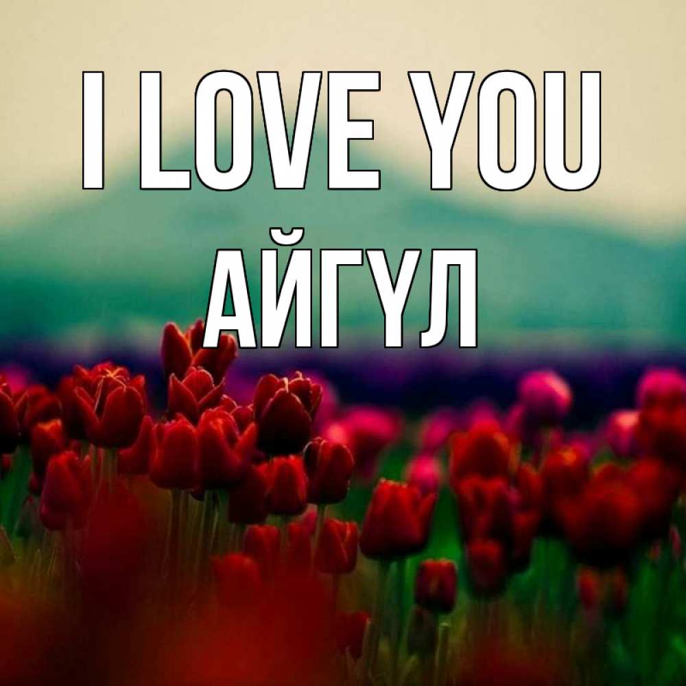 Greetings card с именем, АЙГҮЛ I love you тюльпаны 4 Greetings with text for free download 