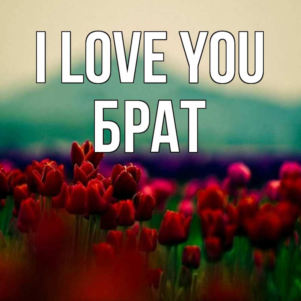 Greetings card с именем, Брат I love you тюльпаны 4 Greetings with text for free download 