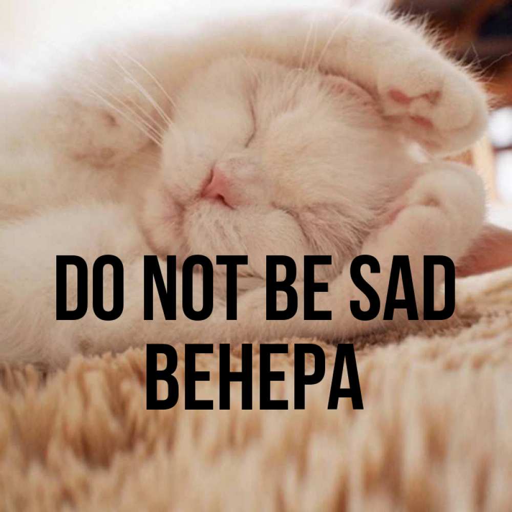 Greetings card с именем, Венера Do not be sad Котенок спит Greetings with text for free download 