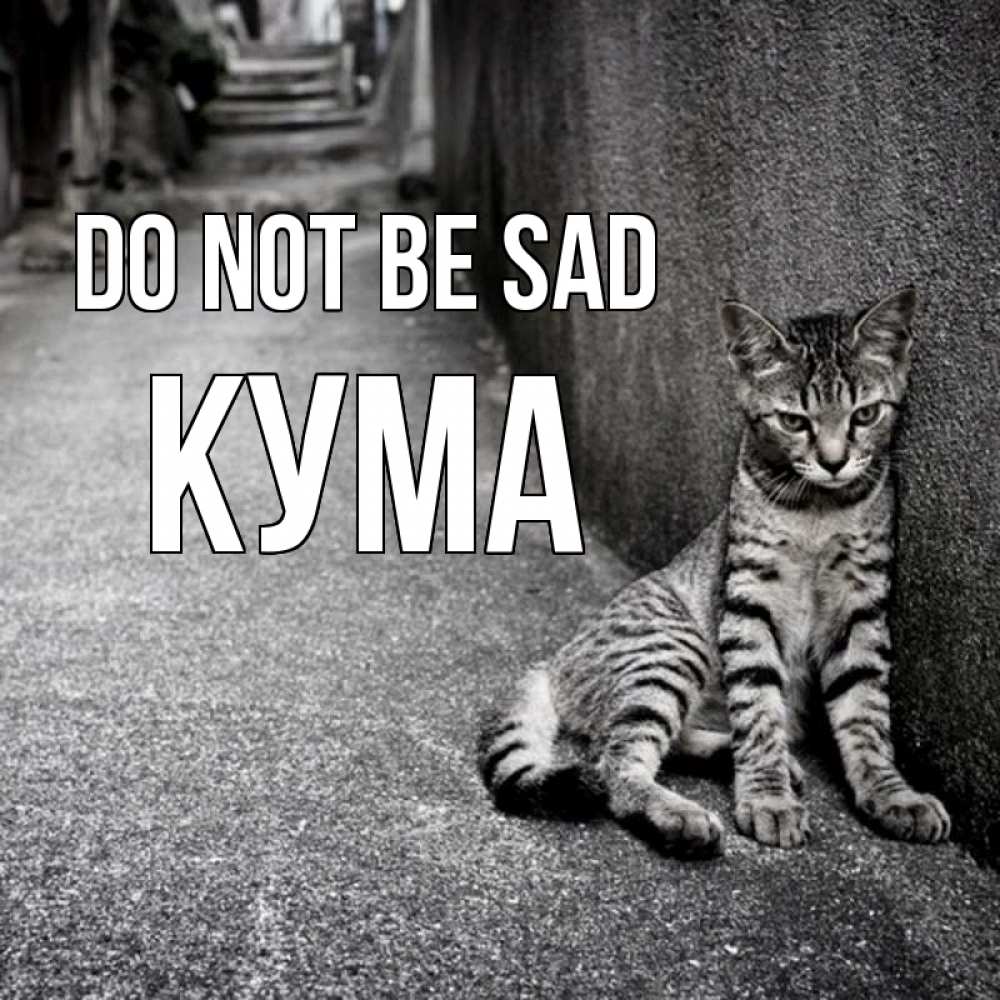 Greetings card с именем, Кума Do not be sad скучающий котик Greetings with text for free download 