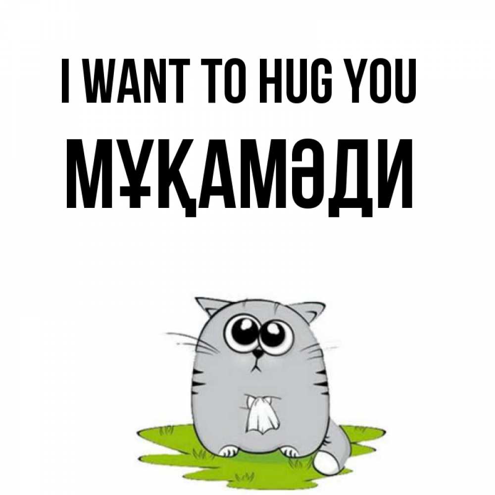 Greetings card с именем, МҰҚАМӘДИ I want to hug you котик теребит платочек сидя на травке Greetings with text for free download 