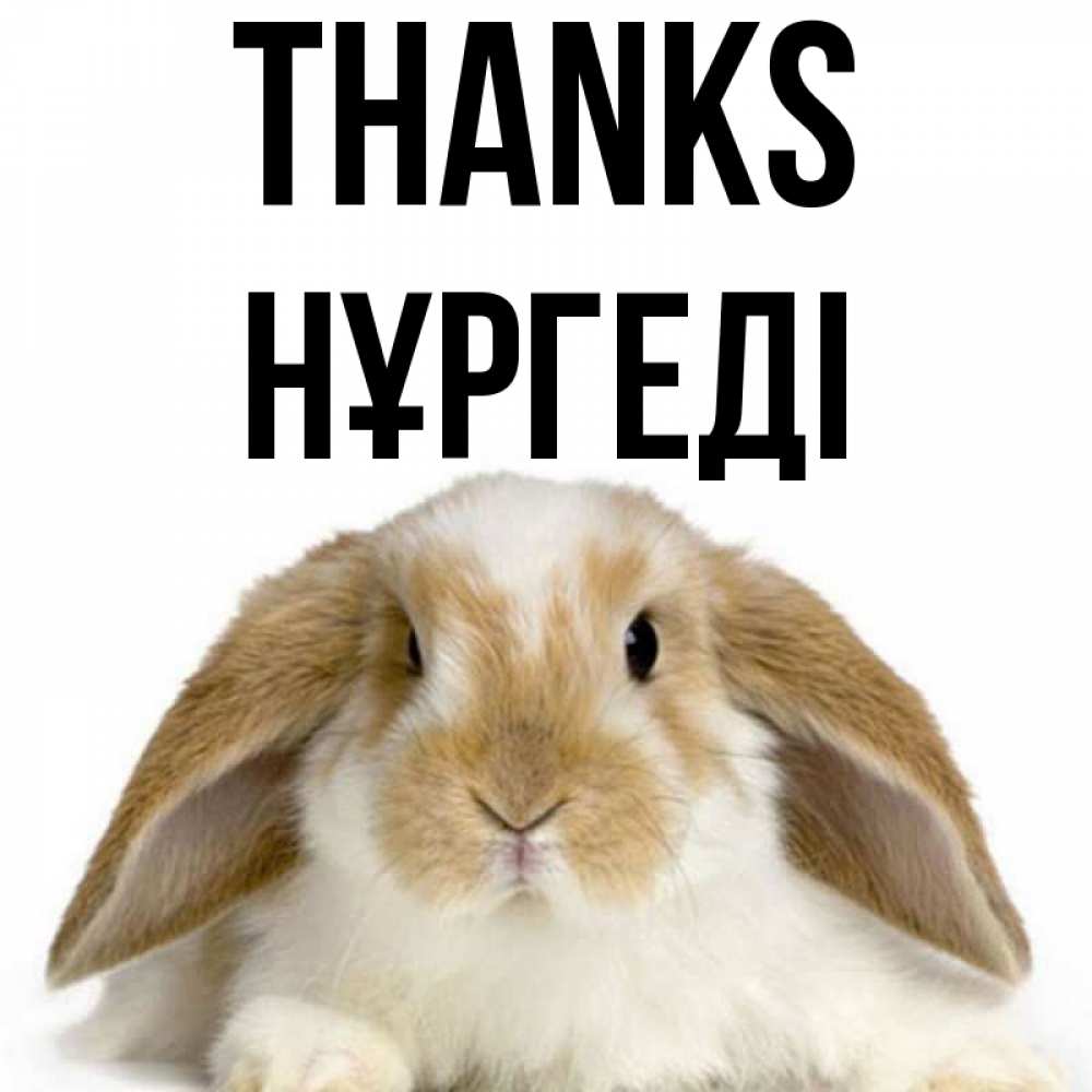 Greetings card с именем, НҰРГЕДІ Thanks коричнево белый заяц Greetings with text for free download 