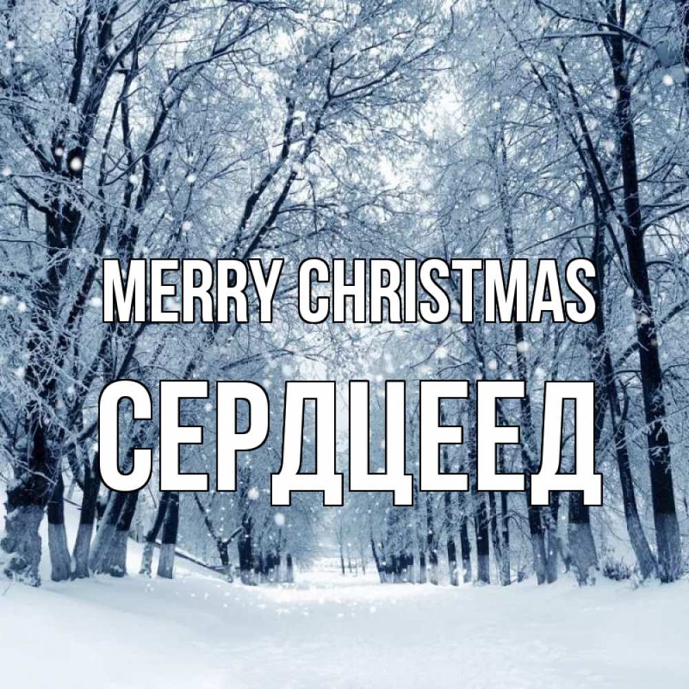 Greetings card с именем, Сердцеед Merry Christmas снег, лес, парк Greetings with text for free download 