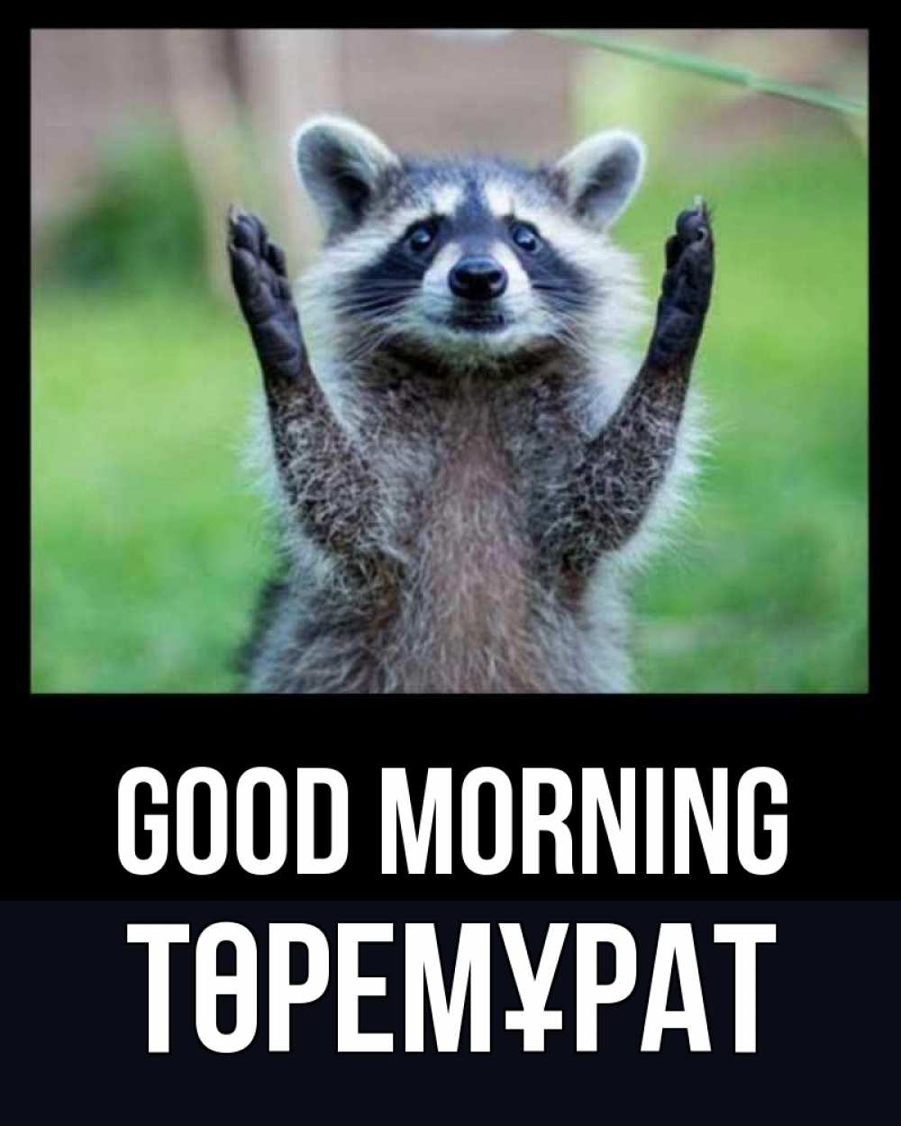 Greetings card с именем, Төремұрат Good morning хорошее настроение утречком Greetings with text for free download 