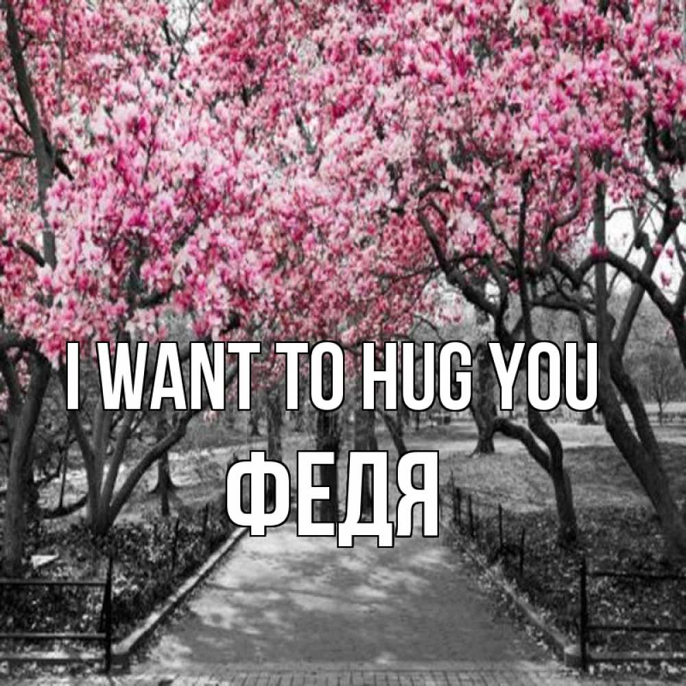 Greetings card с именем, Федя I want to hug you обработанное фото Greetings with text for free download 