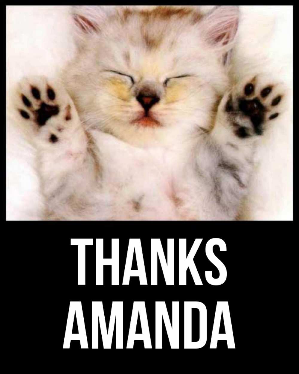 Greetings card с именем, Amanda Thanks маленький котенок Greetings with text for free download 