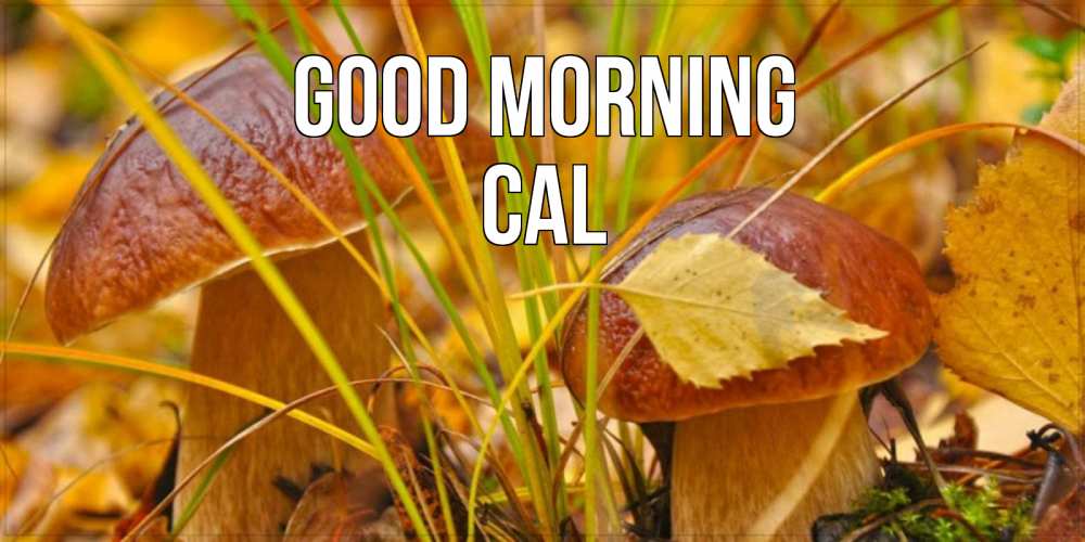Greetings card с именем, Cal Good morning осенние грибы Greetings with text for free download 