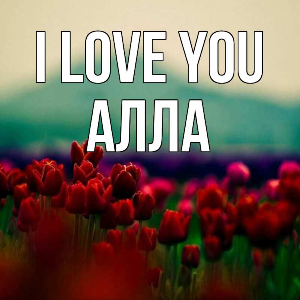 Greetings card с именем, Алла I love you тюльпаны 4 Greetings with text for free download 
