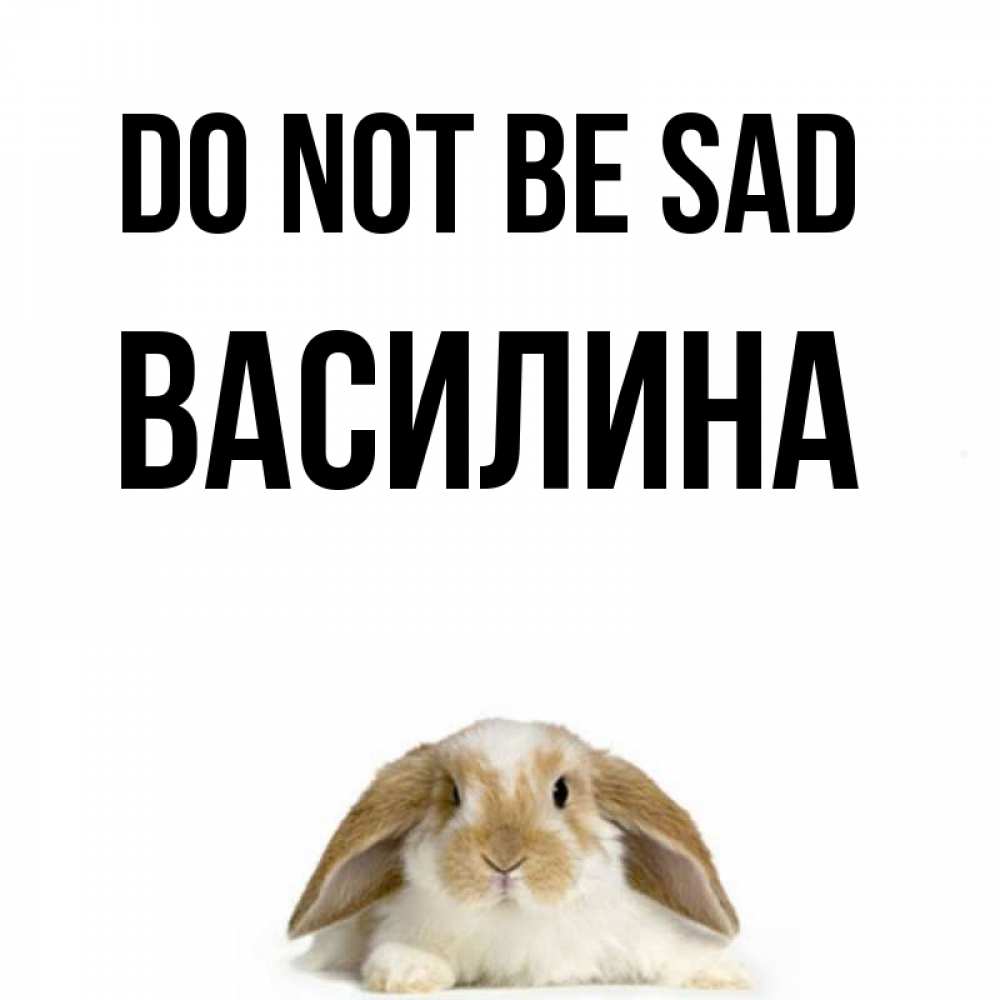 Greetings card с именем, Василина Do not be sad коричнево белый заяц с большими ушками Greetings with text for free download 