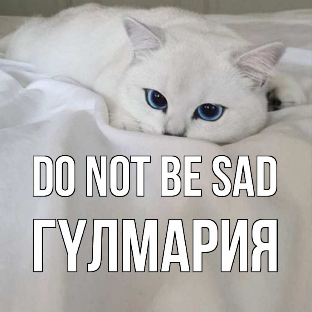 Greetings card с именем, ГҮЛМАРИЯ Do not be sad белый кот с голубыми глазами на белоснежной кровати Greetings with text for free download 