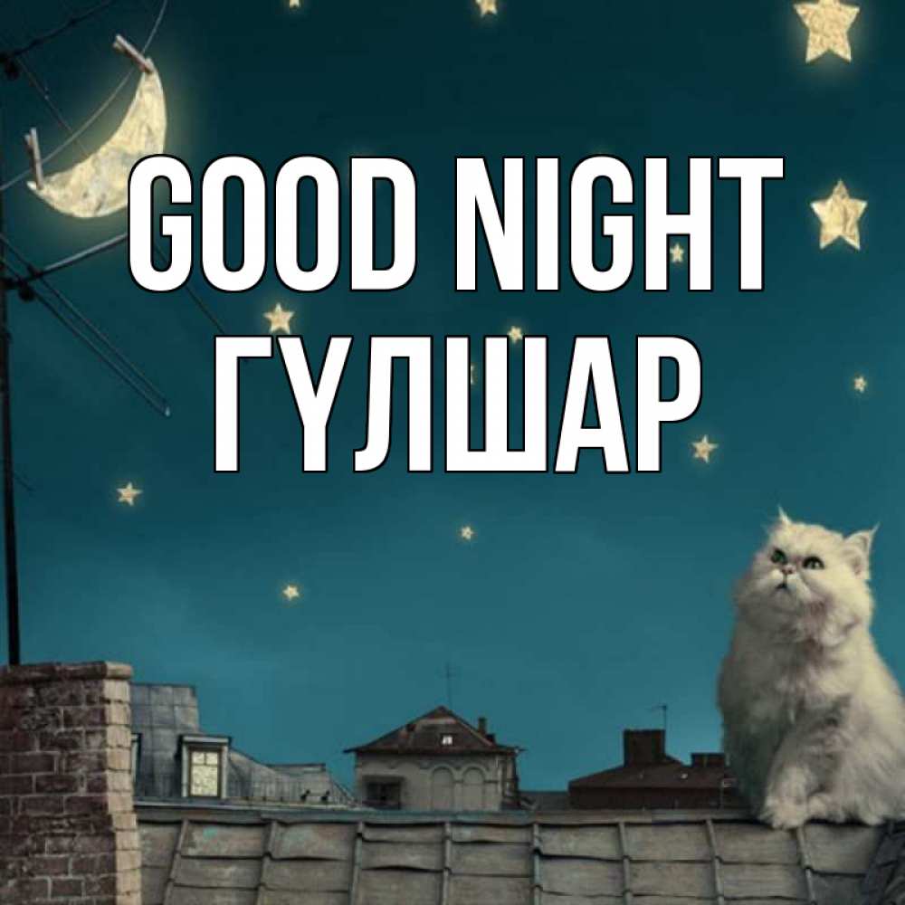 Greetings card с именем, ГҮЛШАР Good night белый кот сидит на крыше Greetings with text for free download 