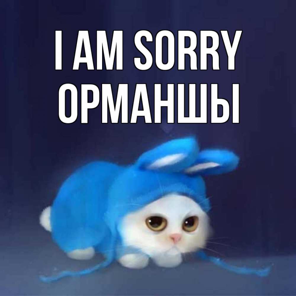Greetings card с именем, ОРМАНШЫ I am sorry невинный котозай просит прощения Greetings with text for free download 