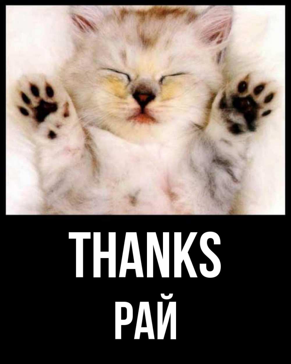Greetings card с именем, РАЙ Thanks маленький котенок Greetings with text for free download 