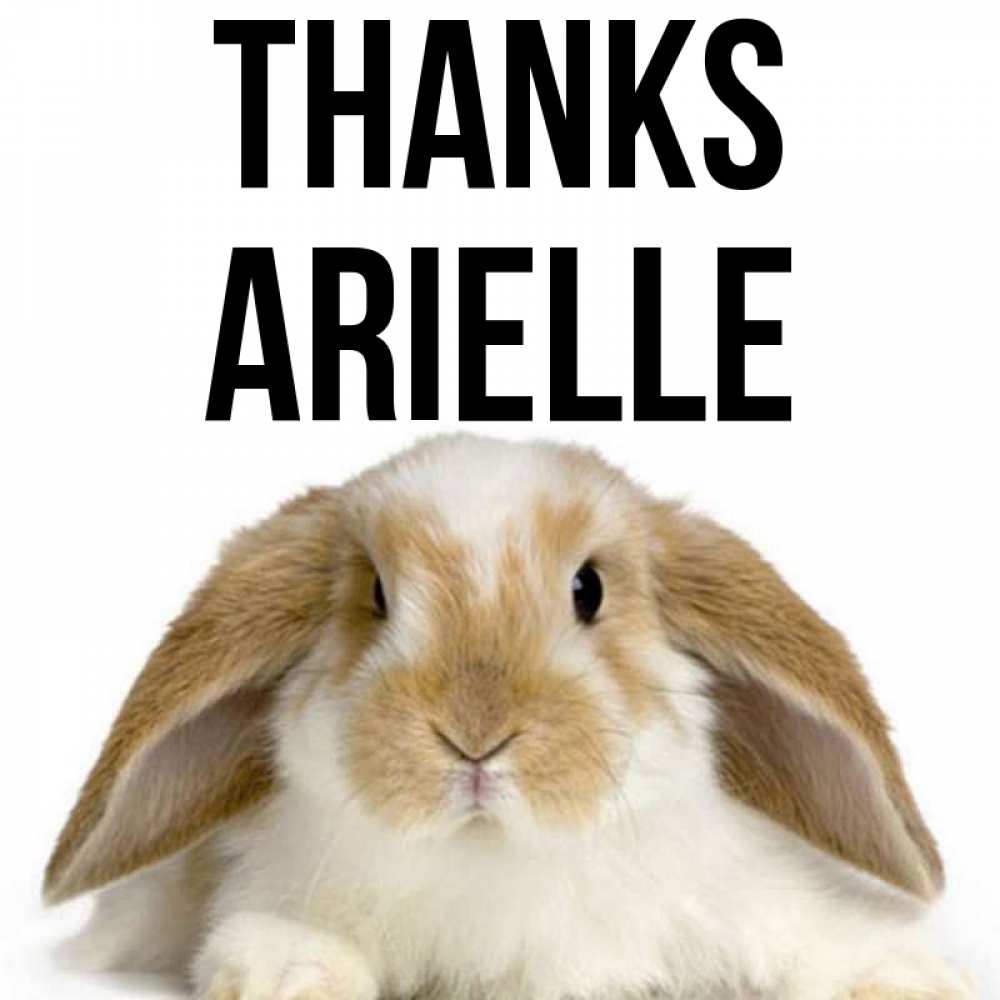 Greetings card с именем, Arielle Thanks коричнево белый заяц Greetings with text for free download 
